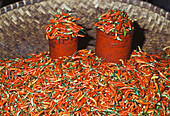 Chillies,Menado Main Market (Pasar Bersahati),Menado,North Sulawesi,Molluccas (Maluka),Indonesia