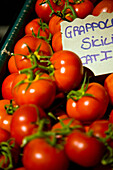Tomaten auf dem Markt, Nahaufnahme, Piazza Della Repubblica, Turin, Piemont, Italien