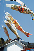 Karpfenflaggen hängen vor dem Haus, Hiroshima, Japan