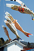 Carp Flags Hanging Outside House,Hiroshima,Japan