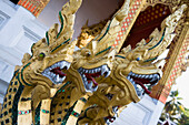 Drachenstatue am buddhistischen Tempel, Luang Prabang, Laos