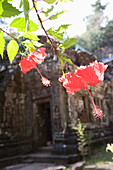 Flowers By Ruins Of Wat Phu Champasa, Savannakhet Province,Southern Laos
