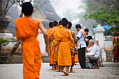 Novizenmönche sammeln in der Morgendämmerung Almosen in Luang Prabang, Laos