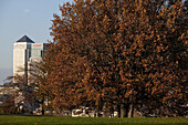 Greenwich Park mit Canary Wharf im Hintergrund, London, Großbritannien