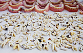 Tooth Pullers Stall In Djemaa El Fna, Marrakesh,Morocco