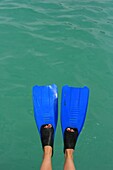 Person Wearing Flippers Over Sea,Low Section, Mayan Riviera,Yucatan Peninsular,Quintana Roo State,Mexico