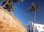 Palmen und Rumpf eines Fischerbootes neben der Kirche Santo Antonio, Ilha De Mocambique, Mosambik.