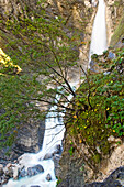 Martuljek-Schlucht, Blick von oben, Triglav-Nationalpark, Julische Alpen, Slowenien