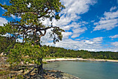 Uto Island, Baltic Archipelago Off Stockholm,Sweden