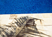Shadow Of Palm Frond Beside The Swimming Pool Of The Palms Hotel,Near Paje,Zanzibar,Tanzania.