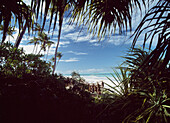 Blick durch die Palmen auf die Insel Mnemba in der Ferne, Matemwe Beach, Zanzibar, Tanzania.