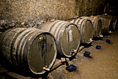 Row Of Cider Barrels In Brimblecombes Devon Farmhouse Cider Press, Farrants Farm,Dartmoor National Park,Dunsford,Devon,Uk