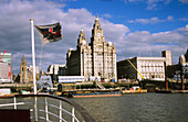 Royal Liver Building, von der Mersey-Fähre aus gesehen, Liverpool, England, Großbritannien