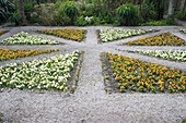 Union Jack Flowerbed At Tresco Abbey Gardens, Tresco, Isles Of Scilly,England