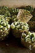 Kohlköpfe in Körben auf der Cabbage Farm