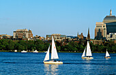 Yachts On Charles River