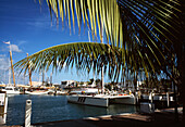 Seaport District, Old Town, Key West