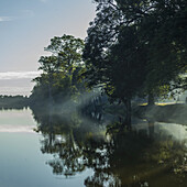 Ruhiges Wasser reflektiert Bäume entlang der Uferlinie durch den Nebel; Krong Siem Reap, Siem Reap Provinz, Kambodscha