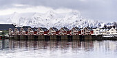 Rote Gebäude entlang der Wasserkante mit schneebedeckten Bergen im Hintergrund; Svolvar, Lofoten Inseln, Nordland, Norwegen