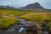 Ein kleiner unbenannter Bach fließt aus den Bergen entlang der Strandir-Küste; Westfjorde, Island