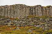 Basaltsäulen aus alter Lava auf der Halbinsel Snaefellsness; Island