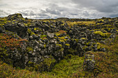 Uralte Lava mit Moos bedeckt; Island