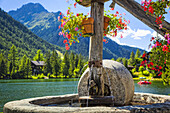Nahaufnahme eines Steinbrunnens mit Blumentöpfen am Champex-See mit Bergkette im Hintergrund; Champex, Wallis, Schweiz
