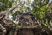 Wurzeln eines Seidenbaums (Ceiba pentadra), der über den Ruinen von Ta Prohm wächst; Angkor, Siem Reap, Kambodscha