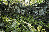 Moos auf umgestürzten Steinen in den Ruinen des Khmer-Tempels von Beng Meala; Siem Reap, Kambodscha