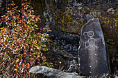 Petroglyphen gefunden im Columbia Hills Historical State Park; Murdock, Washington, Vereinigte Staaten von Amerika