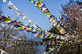 Buddhist prayer flags in the Nepalese Himalayas; Nepal