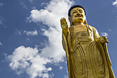 Niedriger Blickwinkel auf eine goldene Buddha-Statue vor blauem Himmel mit Wolken; Ulaanbaatar, Ulaanbaatar, Mongolei