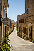 Sonnige schmale Straße, gesäumt von Häusern und dekorativen Pflanzen vor blauem Himmel; Alcudia, Mallorca, Balearen, Spanien.