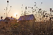 Die untergehende Sonne über den Sommerhäusern in einem Dorf mit hohen Gräsern im Vordergrund; Tarusa, Russland.
