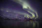 Aurora Borealis, oder Nordlicht; Djupavik, Westfjorde, Island