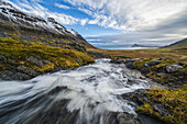 Bach, der zum Meer fließt, an der Strandir-Küste, Westfjorde; Island