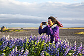 Eine asiatische Reisende fotografiert die Lupinenblüten an einem sehr windigen Tag; Island