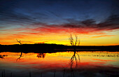 Dramatic sunrise over water, Bosque Del Apache Wildlife Refuge; New Mexico, United States of America