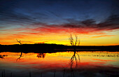 Dramatischer Sonnenaufgang über dem Wasser, Bosque Del Apache Wildlife Refuge; New Mexico, Vereinigte Staaten von Amerika