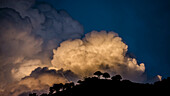 Glühende Wolken bei Sonnenuntergang über silhouettierten Bäumen und einer Bergkuppe; Utah, Vereinigte Staaten von Amerika