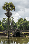 Decorative stone monuments in ponds with palm tree, Angkor Wat; Siem Reap, Siem Reap Province, Cambodia