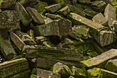 Umgestürzte Felsen, bedeckt mit Flechten und Moos, Ta Prohm, Angkor Wat; Siem Reap, Provinz Siem Reap, Kambodscha.