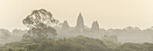 Panoramablick auf die Bäume und Tempel im Nebel von Angkor Wat; Siem Reap, Provinz Siem Reap, Kambodscha.