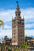 Giralda, Glockenturm der Kathedrale von Sevilla und Dächer; Sevilla, Spanien.