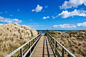 Spaziergang am West Sands Beach mit Blick auf das blaue Meer und den Horizont; St. Andrews, Fife, Schottland.