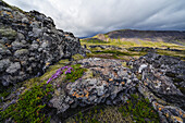 Moosbewachsene Lavafelder mit Bergen in der Ferne auf der Halbinsel Snaefellsness; Island