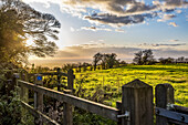 Sunset on the North Downs Way, Southern England; Kent, England; Kent, England