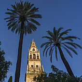 Große Moschee von Córdoba; Córdoba, Andalusien, Spanien