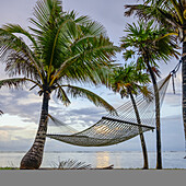 Hängematte zwischen Palmen am Strand bei Sonnenuntergang; Bay Islands Department, Honduras.