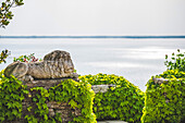 View of the Gulf of Trieste from Duino Castle and stones covered in vines; Italy